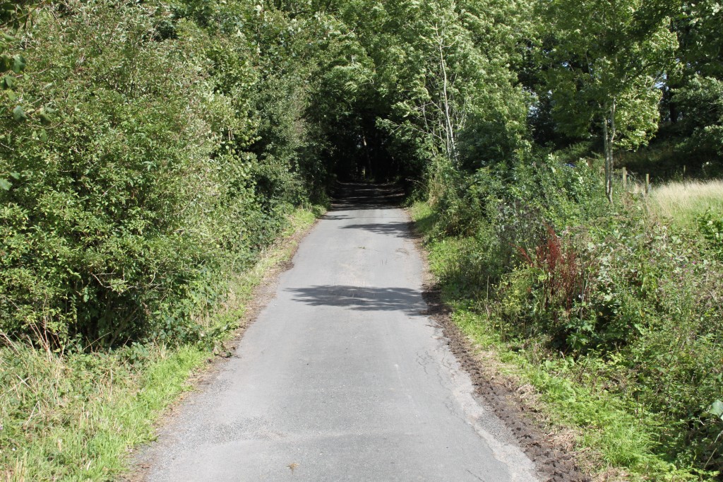 evergreen-path