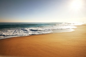 shutterstock_128484296